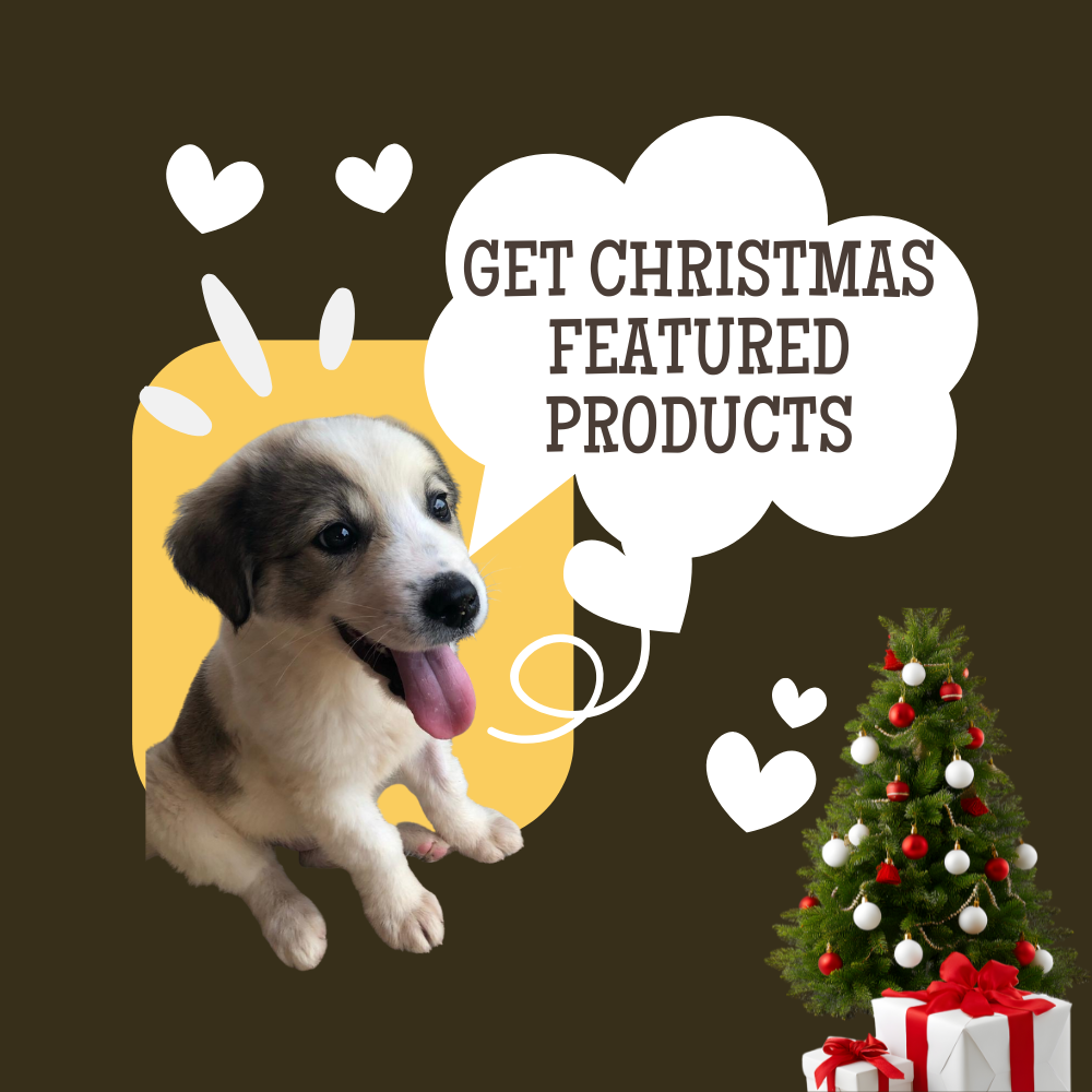 Christmas - Essentials