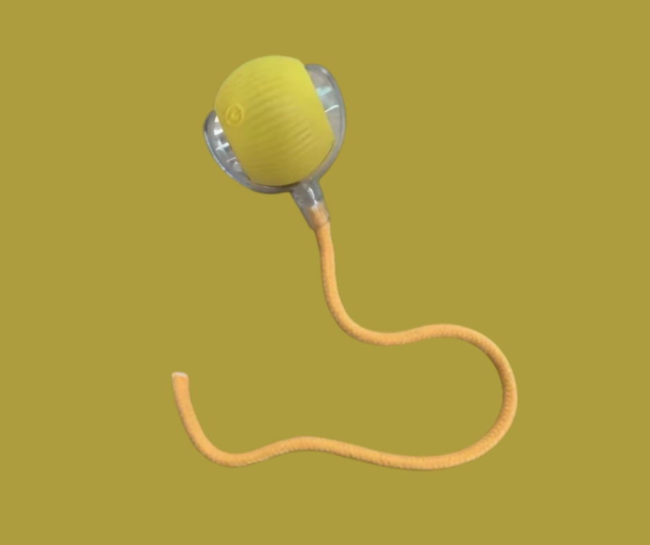 PouncePal – Self-Play Ball