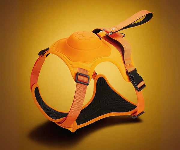 FLEXIVEST RETRACTABLE DOG LEASH & HARNESS SET