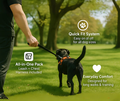 DOG LEASH & HARNESS SET