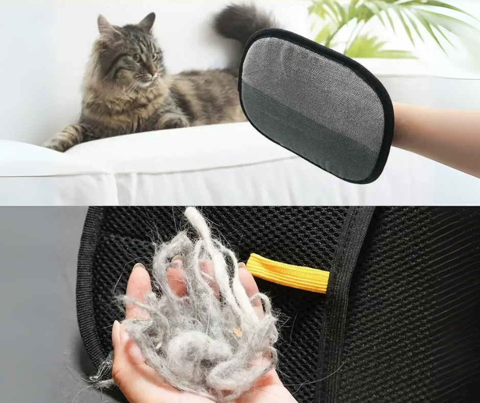 PET FUR REMOVAL GLOVE