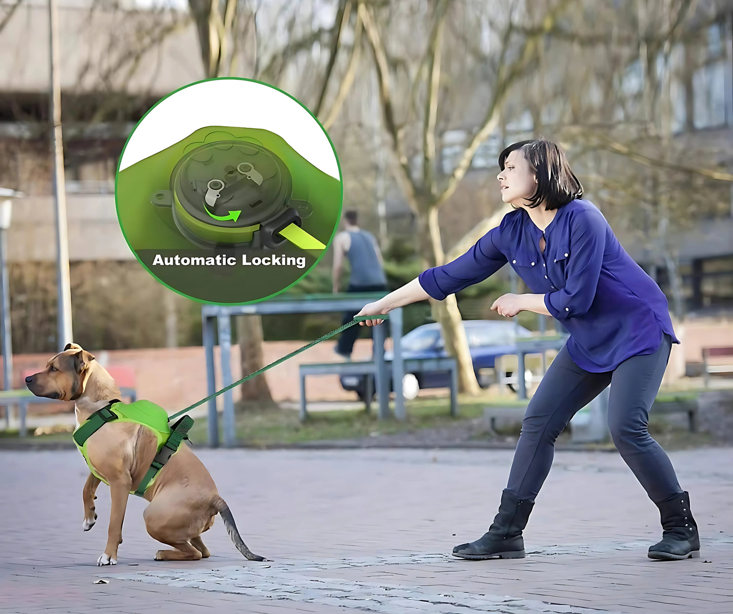 DOG LEASH & HARNESS SET