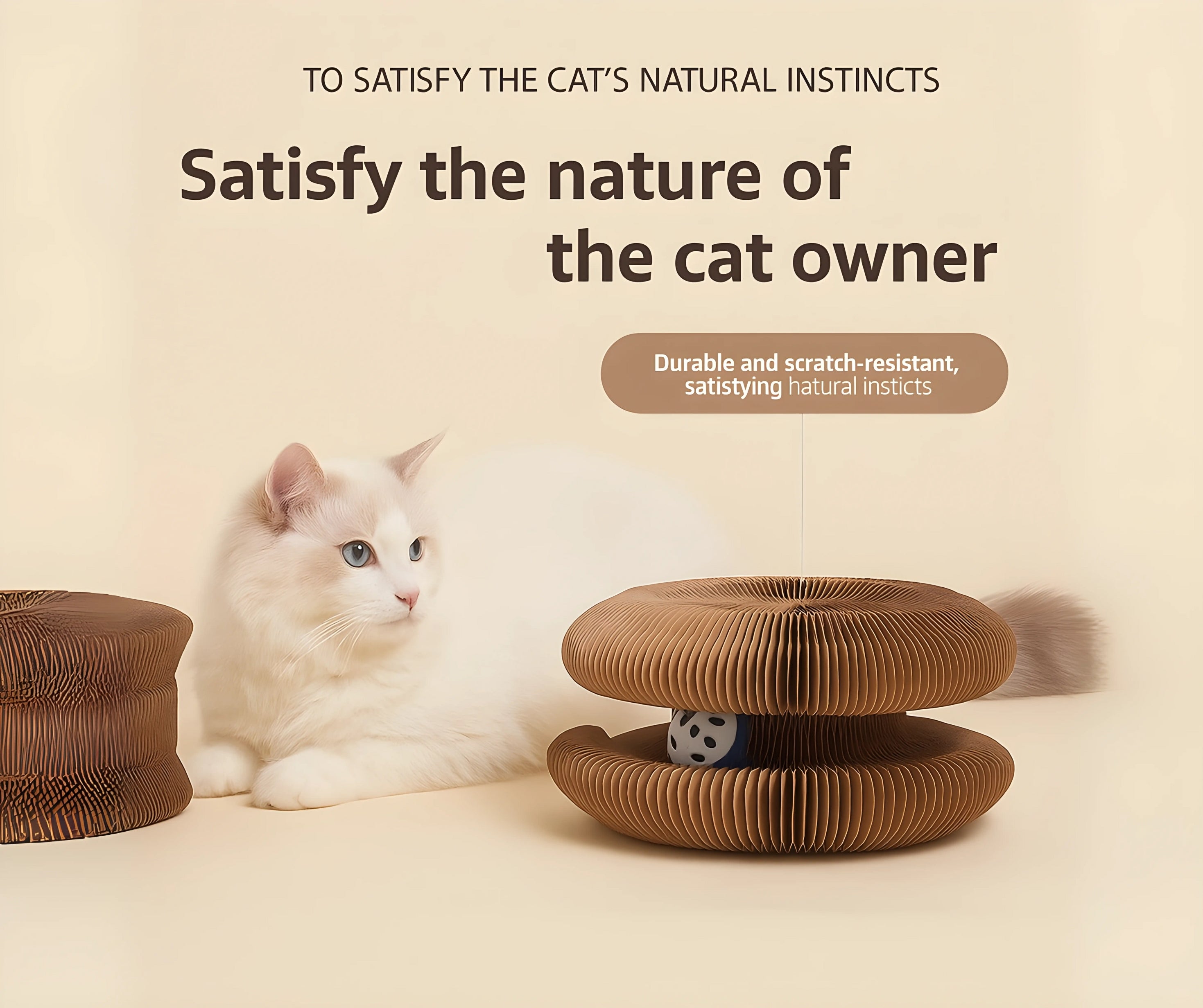ZENPAWS ORGAN BOARD - Organ Cat Scratching Board