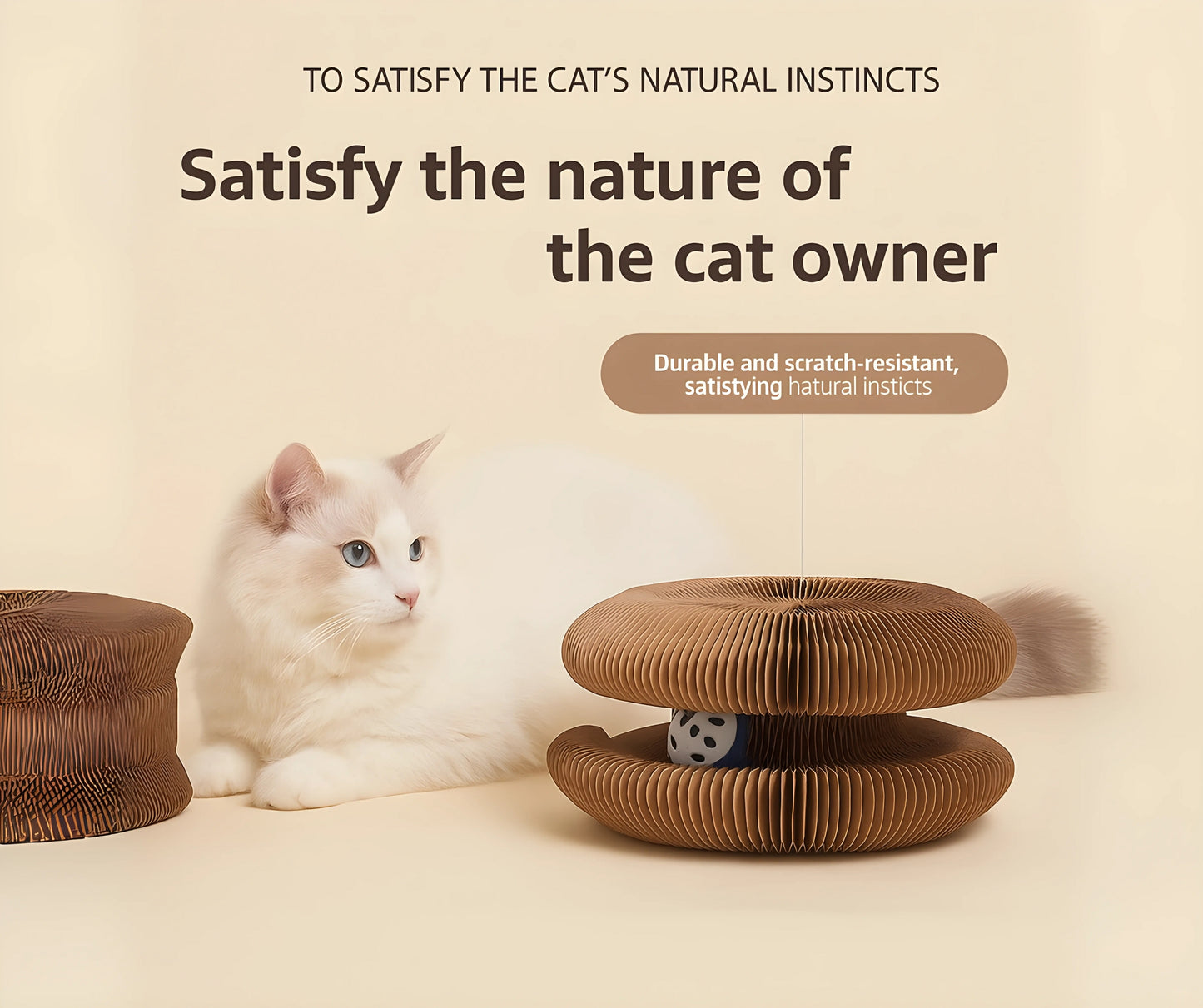 CAT SCRATCHING BOARD