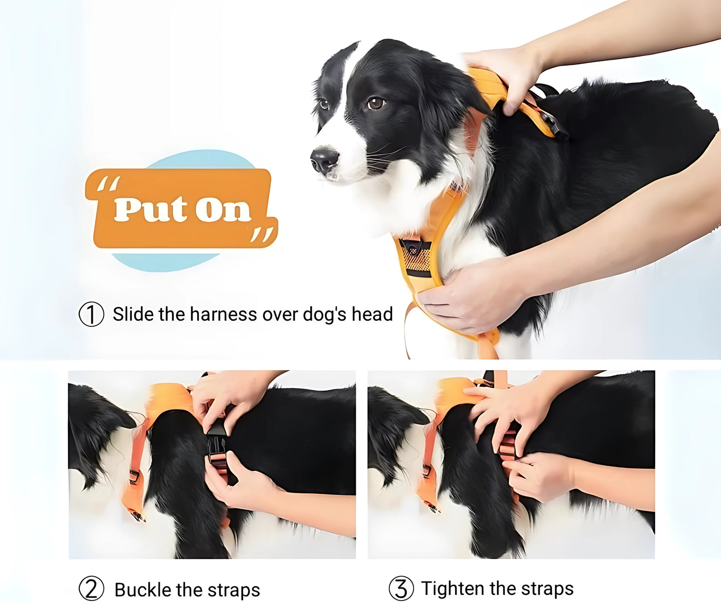 DOG LEASH & HARNESS SET