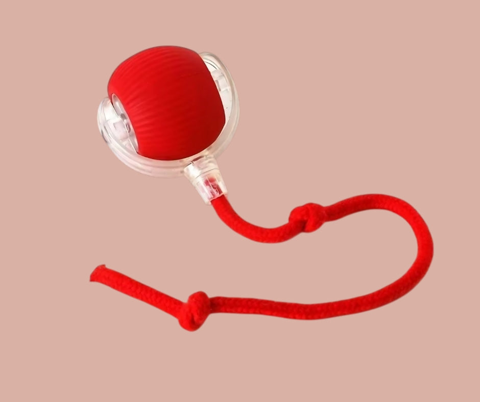 PouncePal – Self-Play Ball