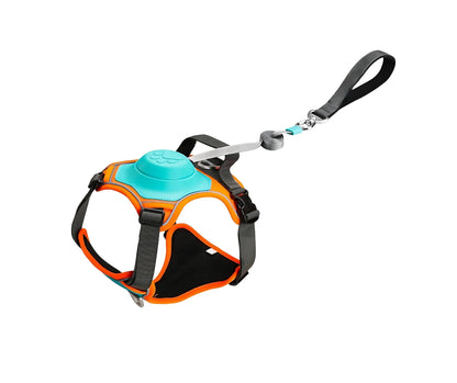 DOG LEASH & HARNESS SET