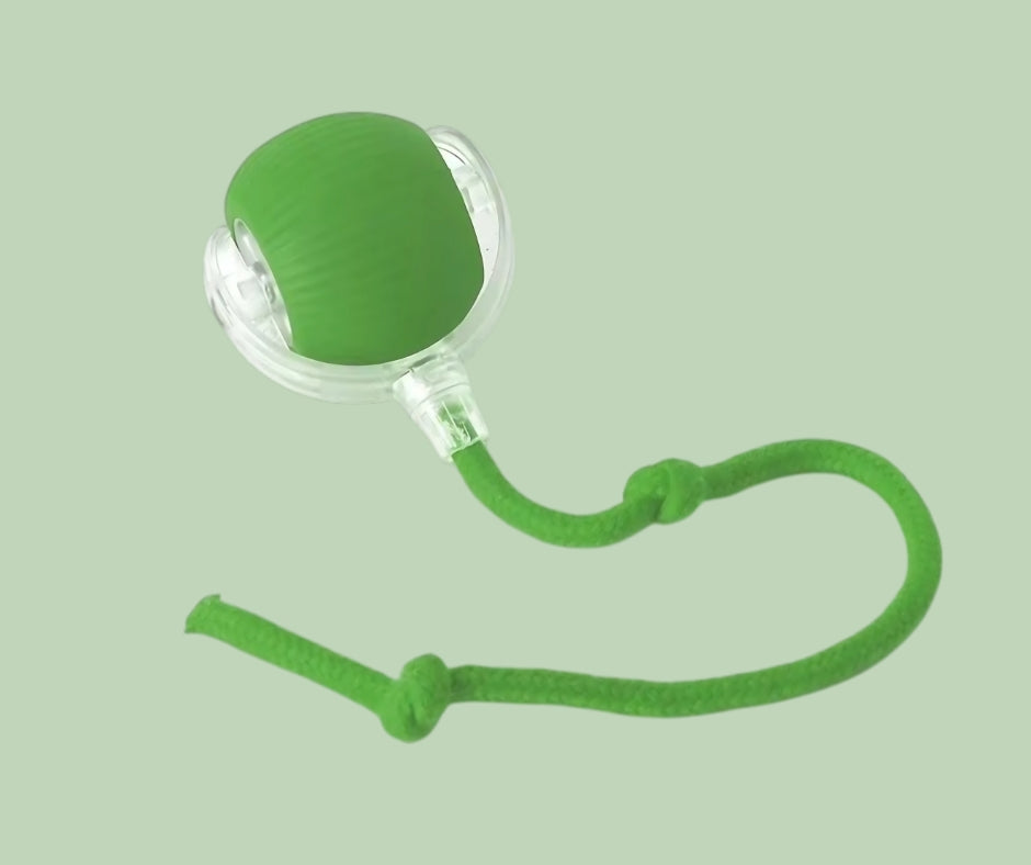 PouncePal – Self-Play Ball