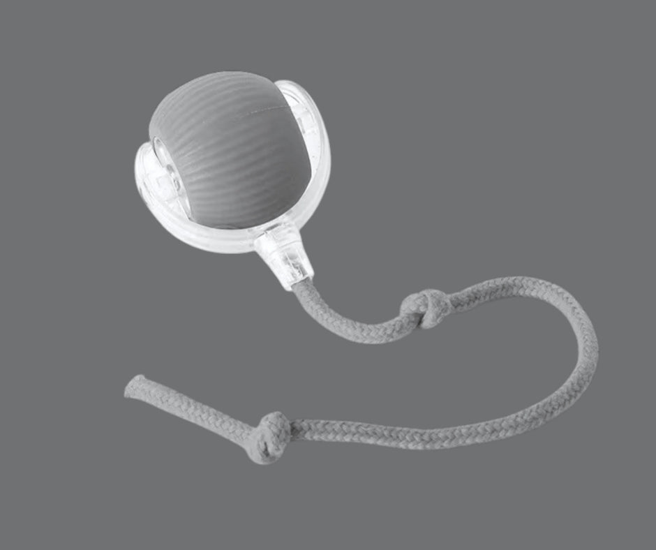 PouncePal – Self-Play Ball