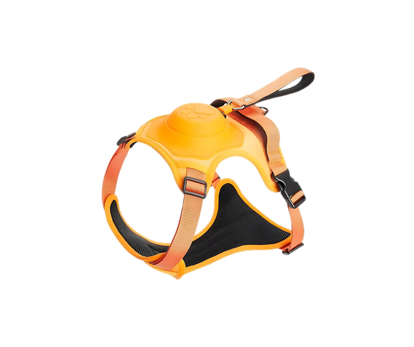 DOG LEASH & HARNESS SET