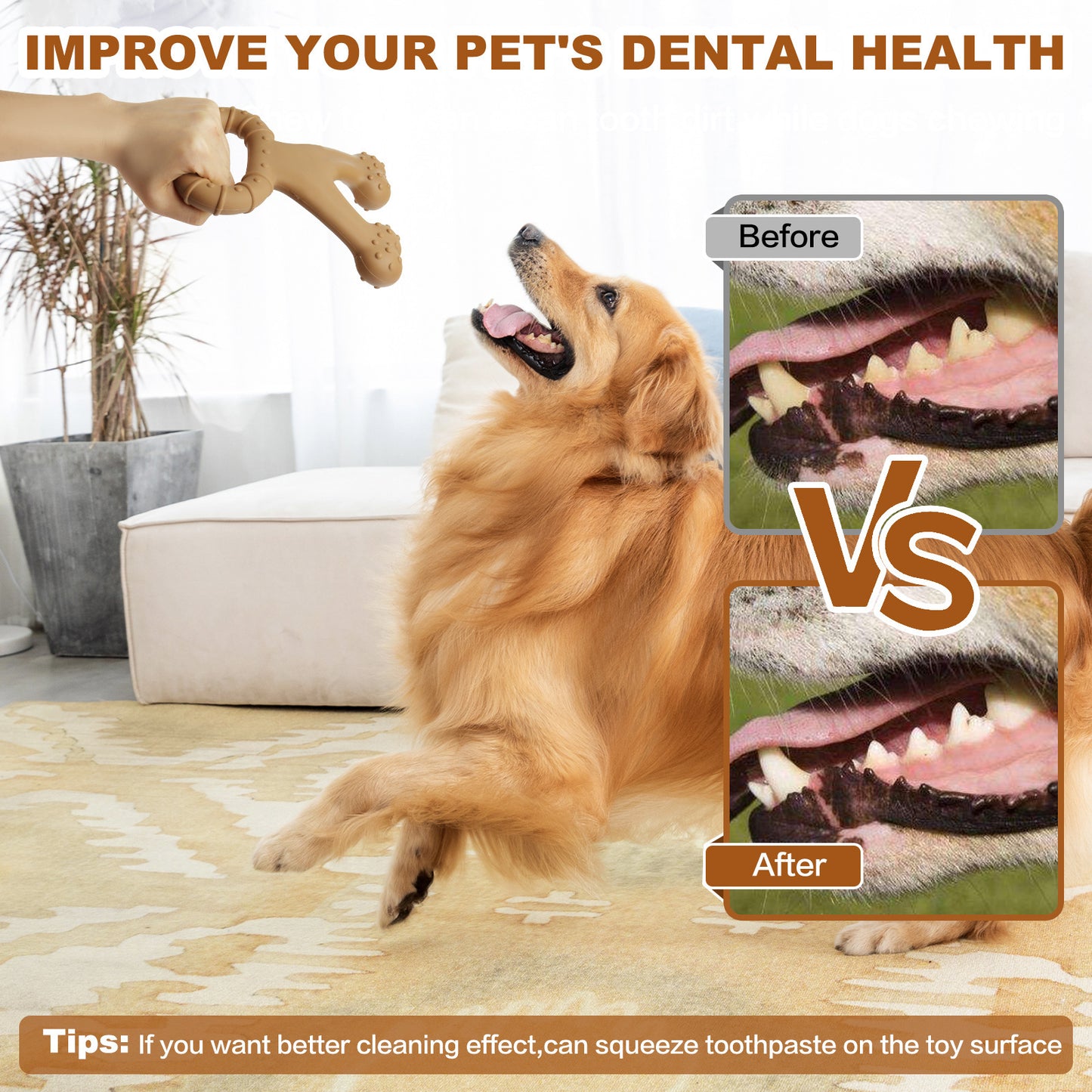TuffBone™ for Dental Health