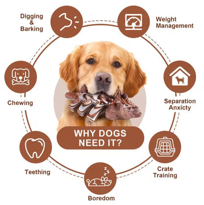 Indestructible Nylon Chew Ring for Dogs