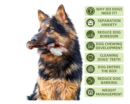 Indestructible Nylon Chew Ring for Dogs