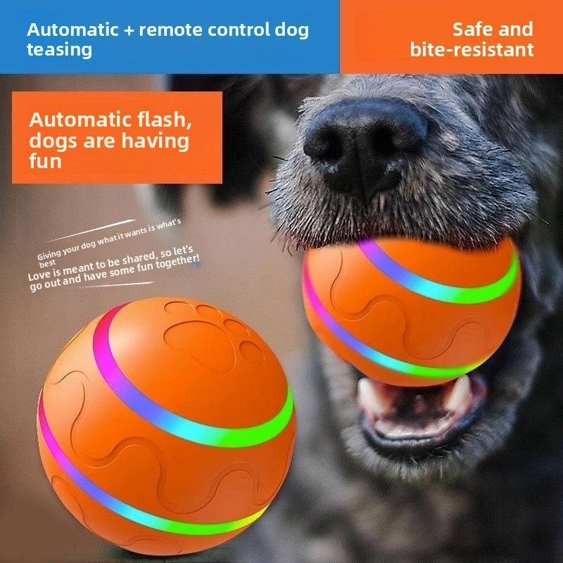 pet toy ball